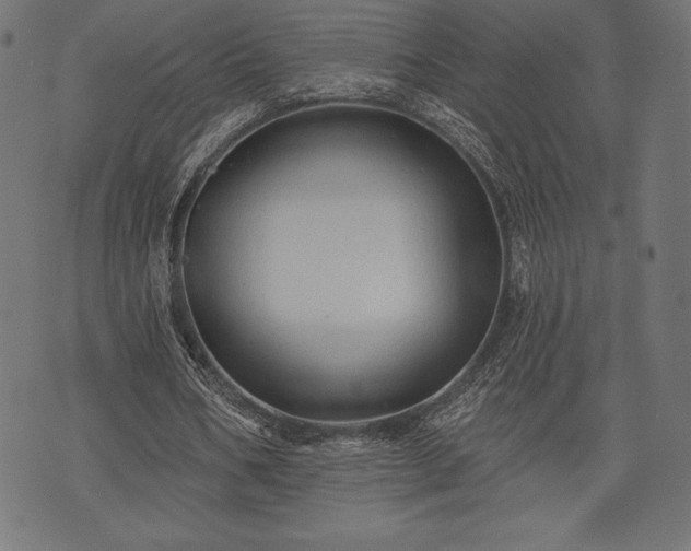 X0000073890578200608180936