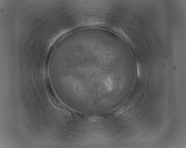 X0000073890579200608180936