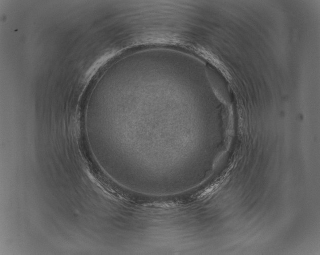 X0000073890580200608180936