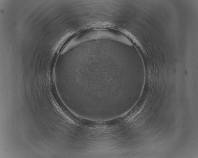 X0000073890581200608180936