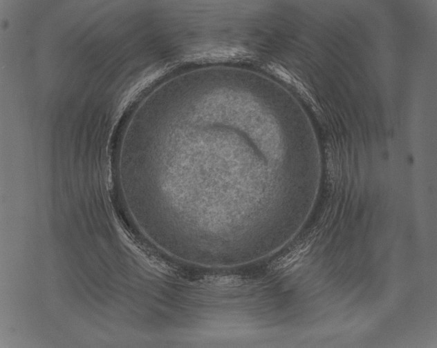 X0000073890582200608180936