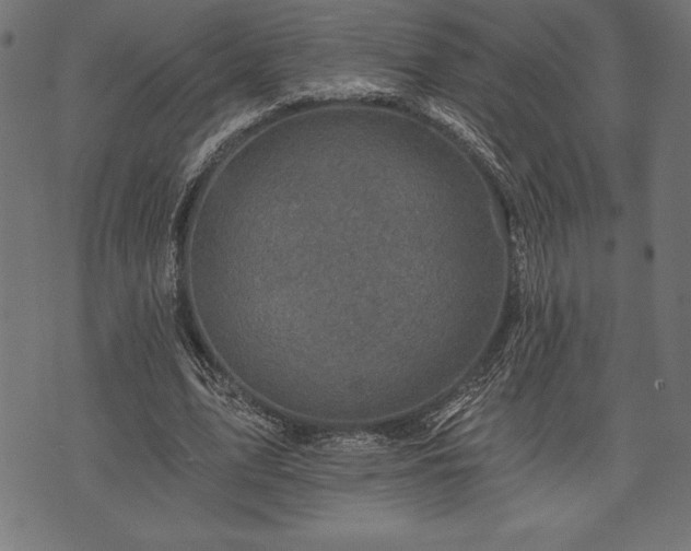 X0000073890583200608180936