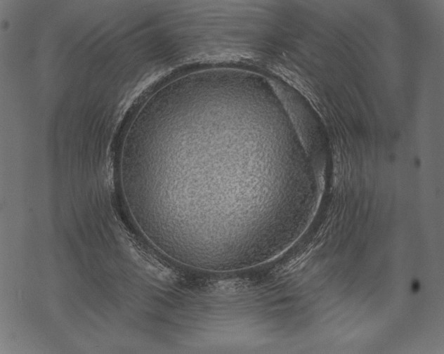 X0000073890584200608180936