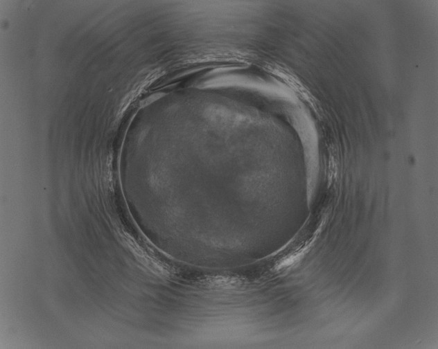 X0000073890585200608180936