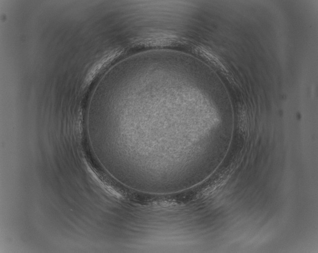 X0000073890586200608180936