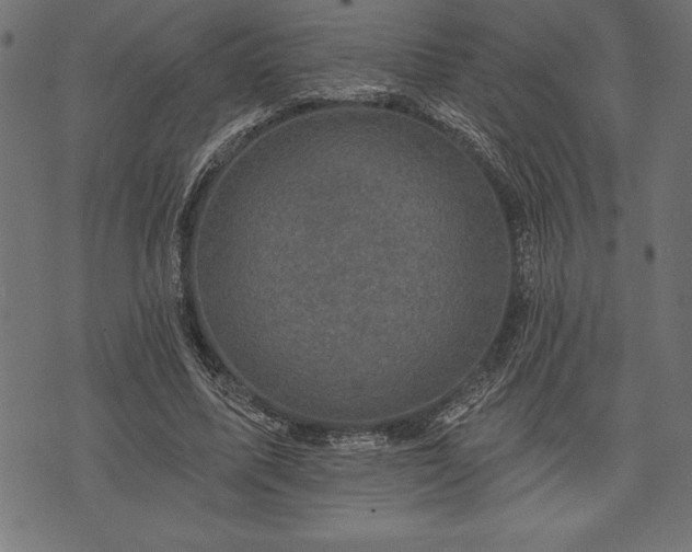 X0000073890587200608180936