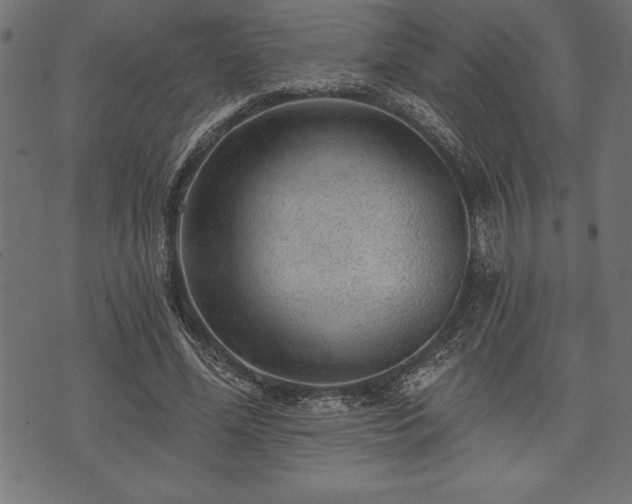 X0000073890588200608180936