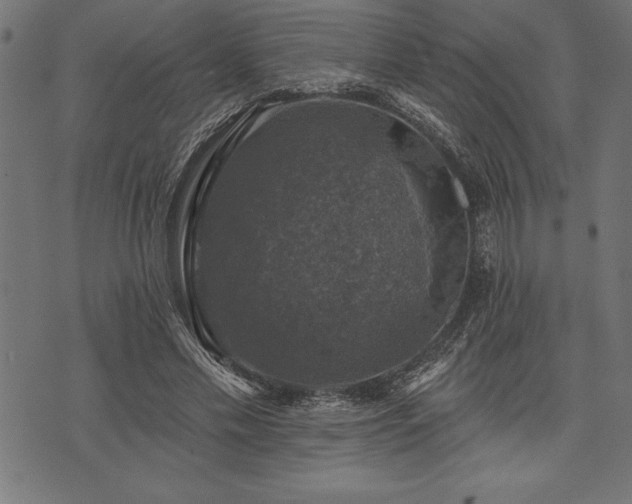 X0000073890589200608180936