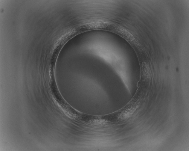 X0000073890590200608180936