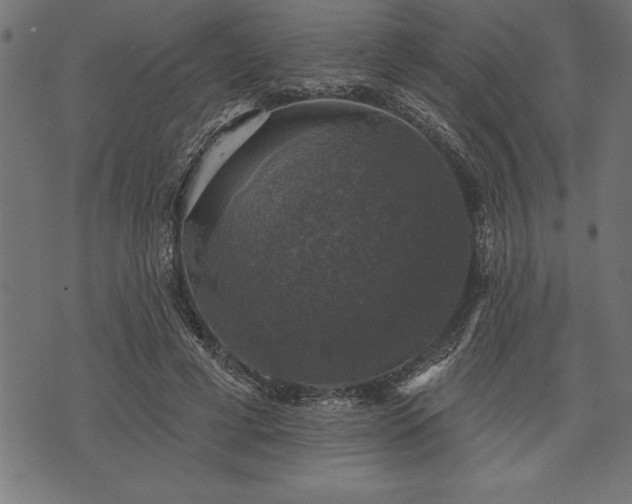 X0000073890593200608180935