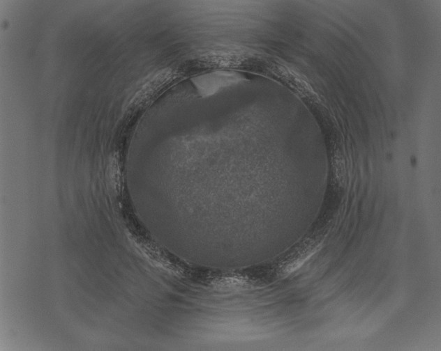 X0000073890594200608180935