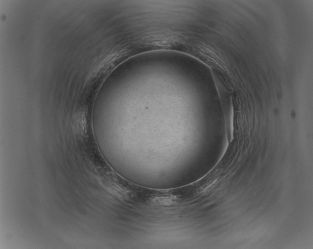 X0000073890595200608180935