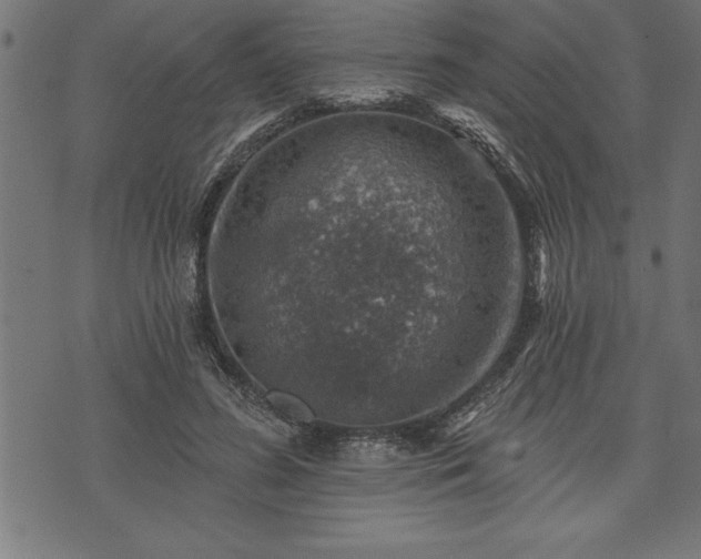 X0000073890596200608180935