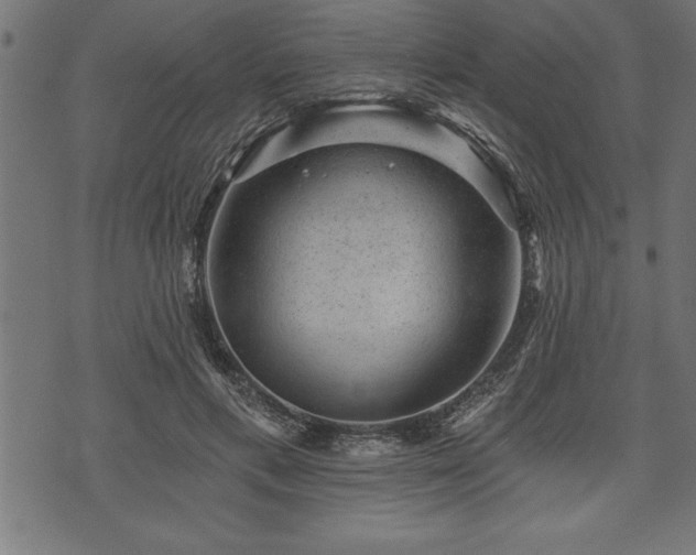 X0000073890597200608180935