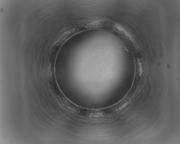 X0000073890599200608180935