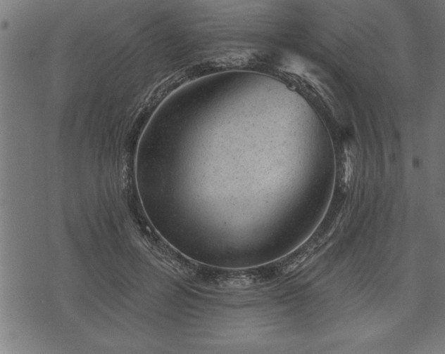 X0000073890600200608180935