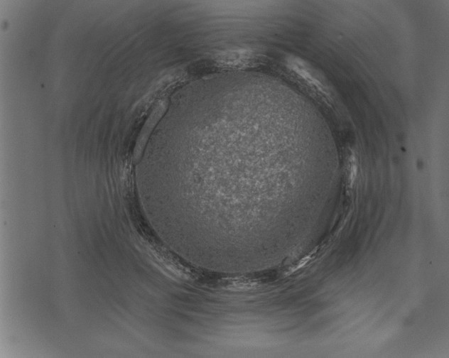 X0000073890601200608180935