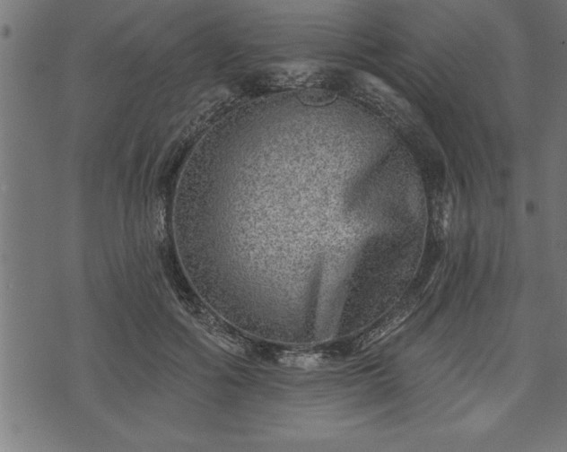 X0000073890602200608180935