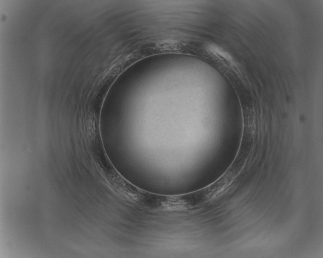 X0000073890603200608180935