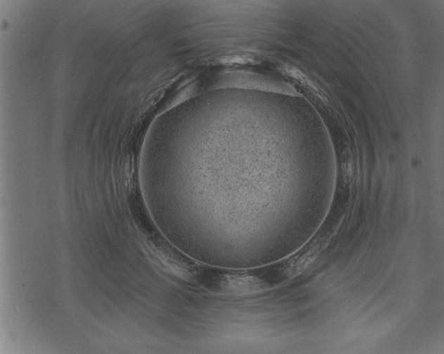 X0000073890605200608180935