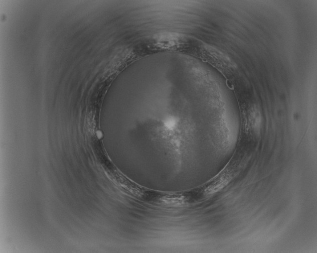 X0000073890606200608180935