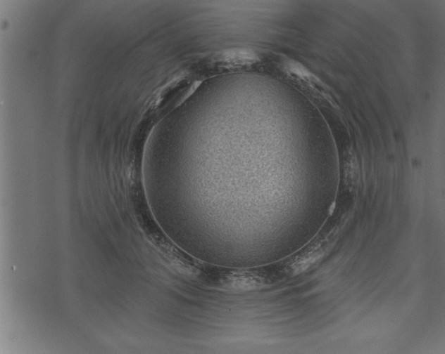 X0000073890608200608180935