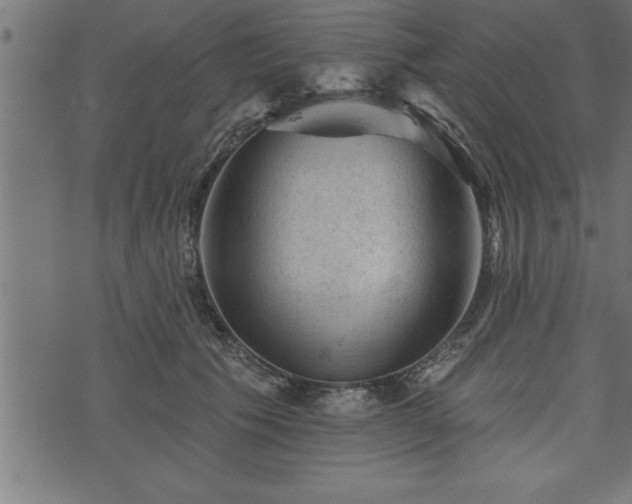 X0000073890609200608180935