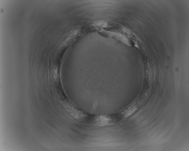 X0000073890610200608180935