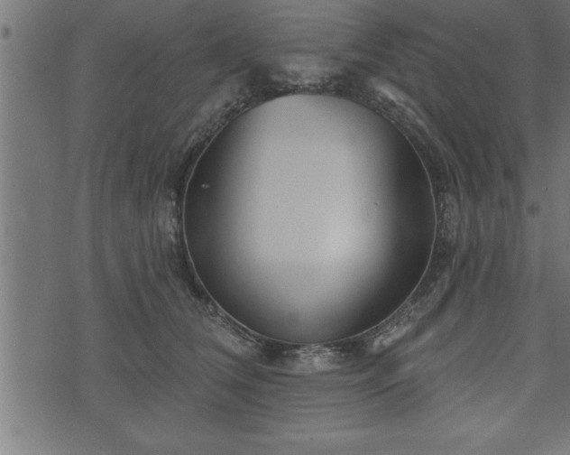 X0000073890612200608180935