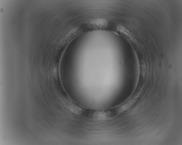 X0000073890613200608180935