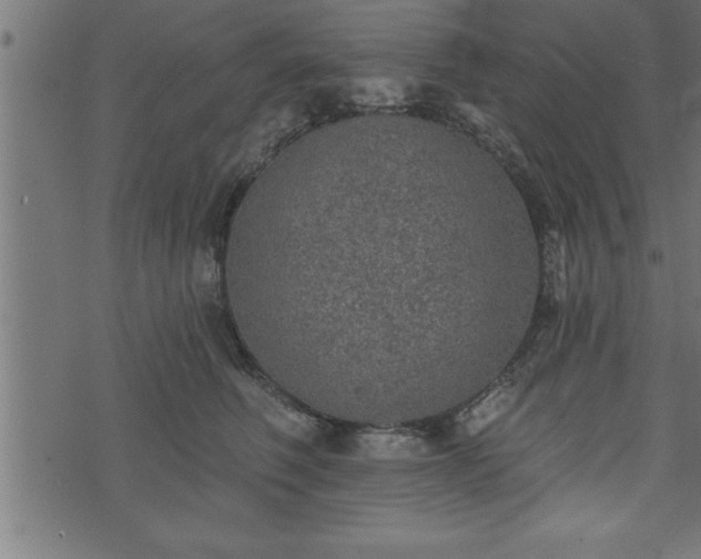 X0000073890614200608180935