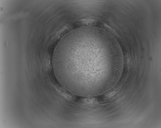 X0000073890615200608180935