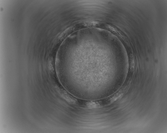 X0000073890616200608180935