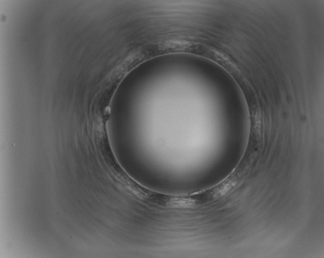 X0000073890617200608180935