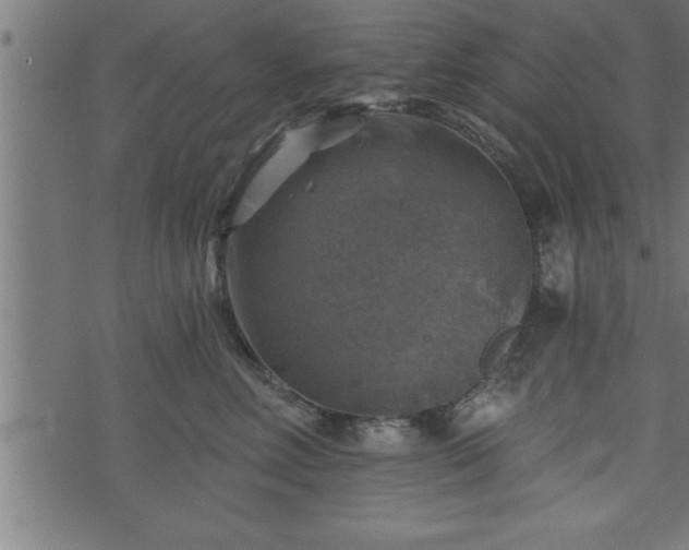 X0000073890618200608180935