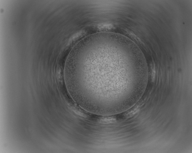 X0000073890619200608180935