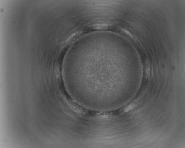 X0000073890620200608180935