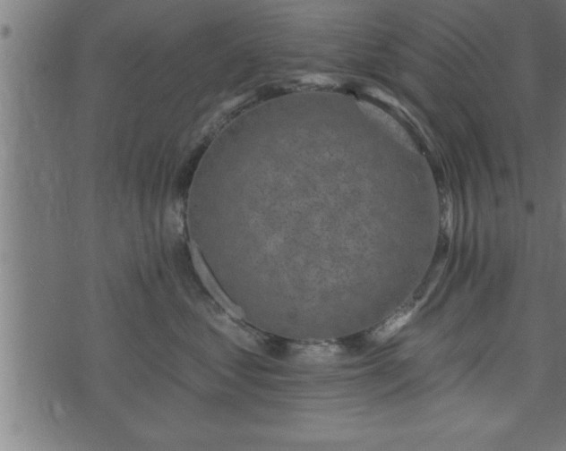 X0000073890621200608180935