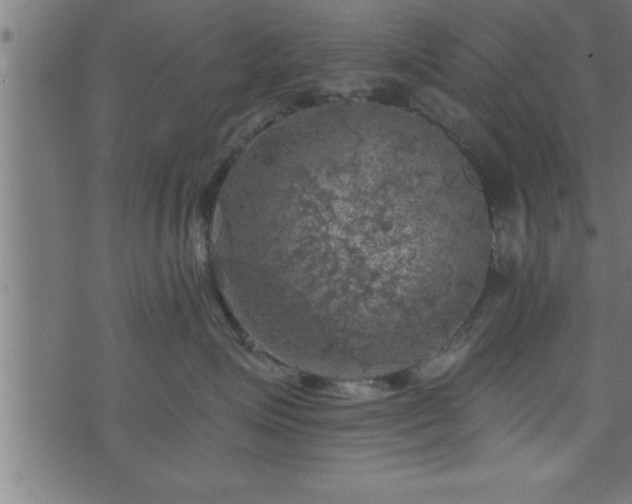 X0000073890623200608180935