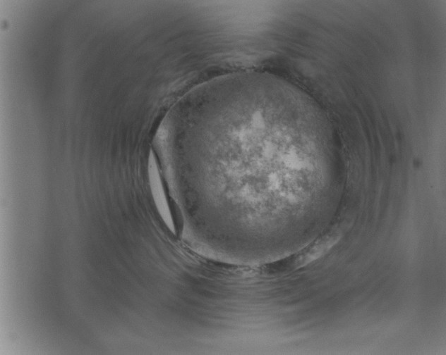 X0000073890624200608180935