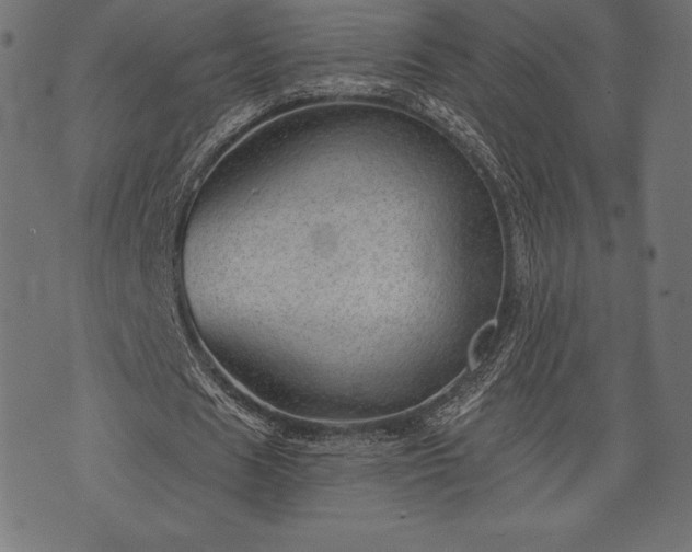 X0000073890625200608180934