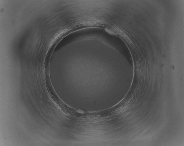 X0000073890626200608180934