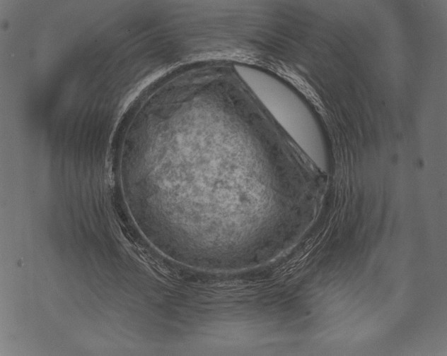 X0000073890628200608180934