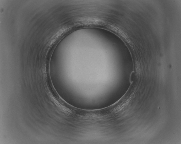 X0000073890629200608180934