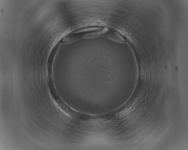 X0000073890630200608180934