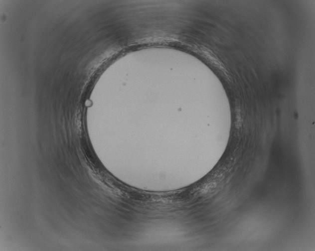 X0000073890632200608180934