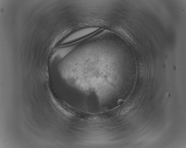 X0000073890634200608180934