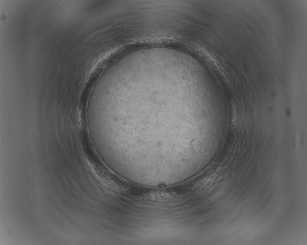 X0000073890636200608180934