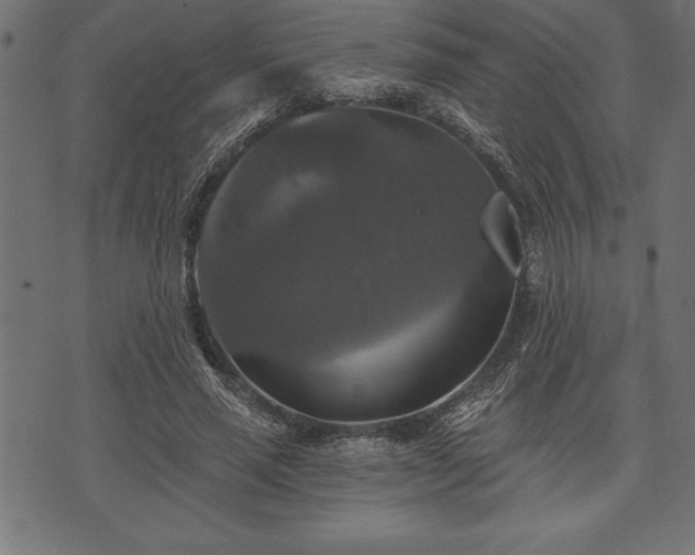 X0000073890637200608180934