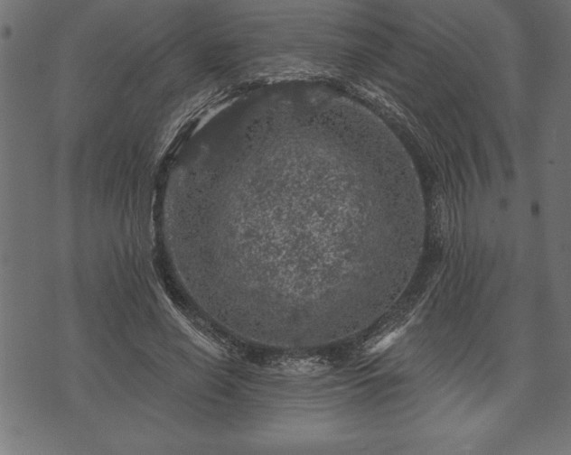 X0000073890638200608180934